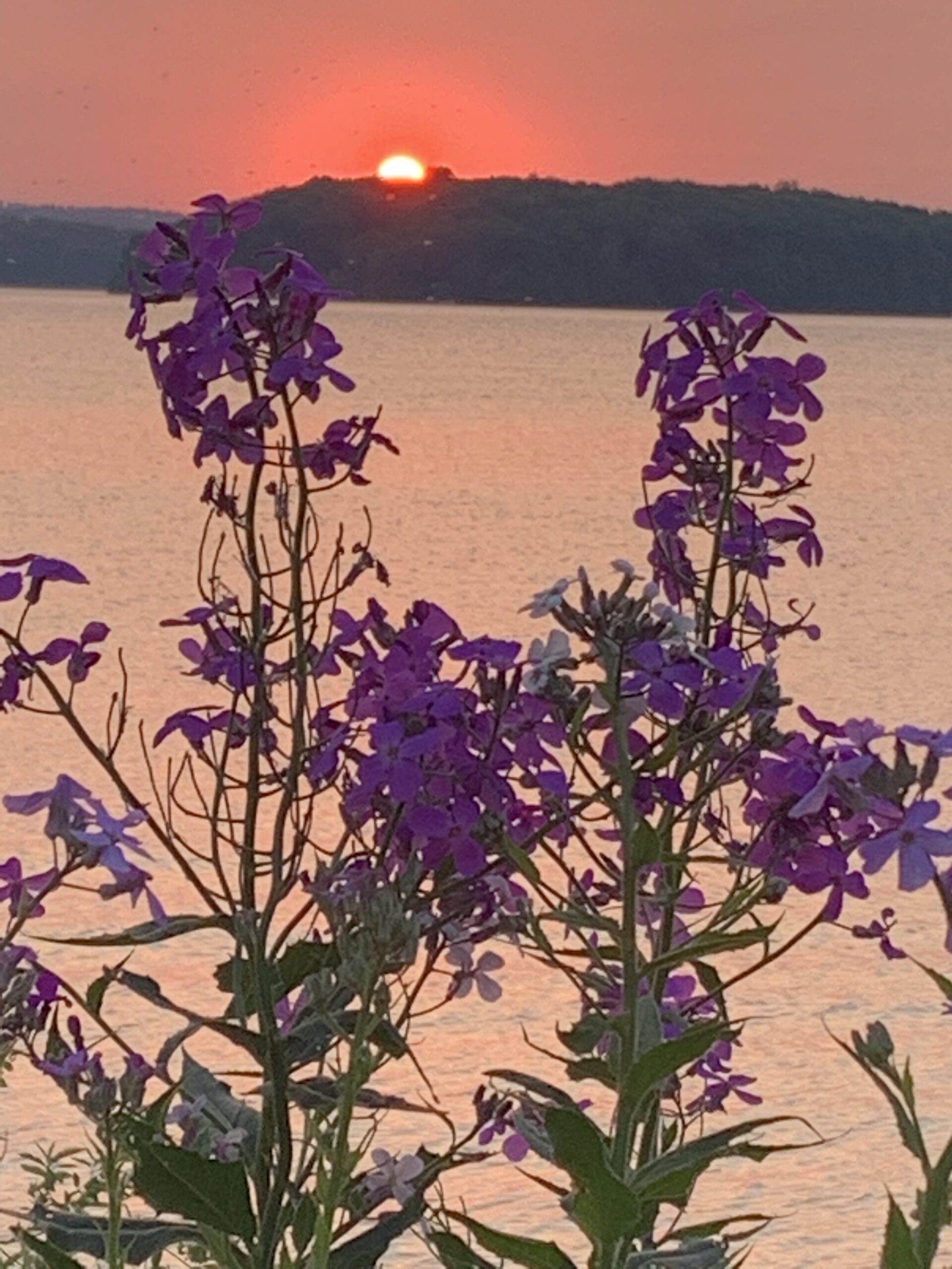 Victoria Wellness Mental Health Residential Retreat near Cobourg, Ontario